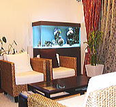 Salon M's ҍ
